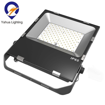 100 Watt 200W Aluminum 110v 220v Black Slim LED Landscape Outdoor Flood Standing Light